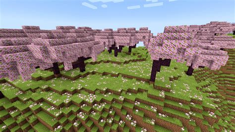 Birch Potted birch saplings generate in a room in woodland mansions. . Cherry blossom biome minecraft wiki